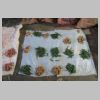 25-12-28---055- Pondichery.JPG